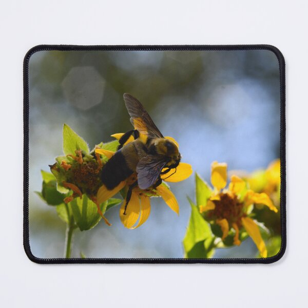 Item preview, Bumblebee of the Southern Plains designed and sold by WWbugsandslugs.