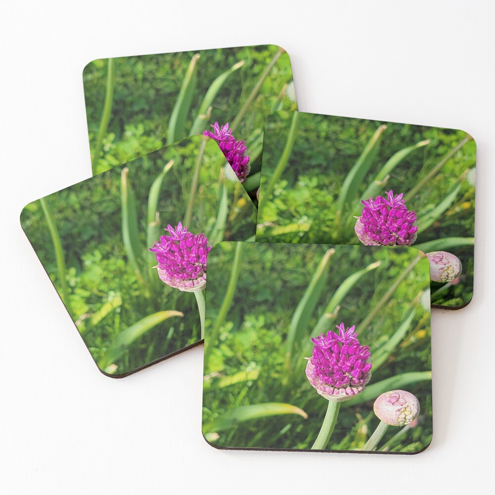 Item preview, Coasters (Set of 4) designed and sold by LifeExpressions.