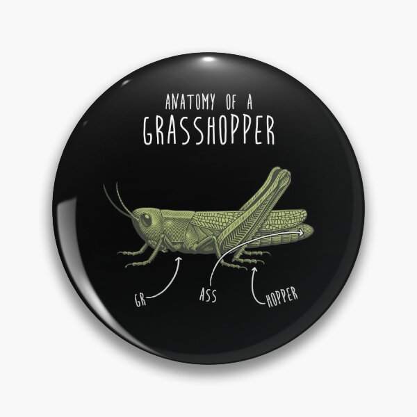 Item preview, Grasshopper Anatomy designed and sold by Clara Hollins.