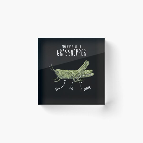 Item preview, Grasshopper Anatomy designed and sold by Clara Hollins.