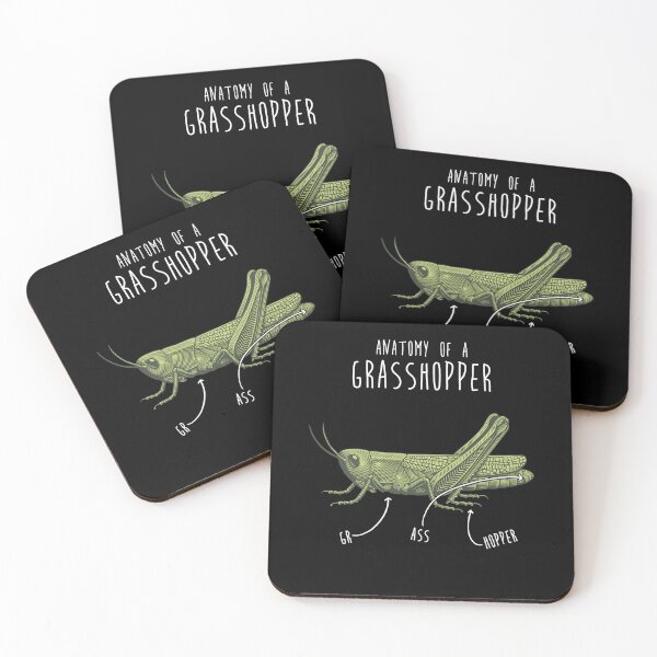 Item preview, Grasshopper Anatomy designed and sold by Clara Hollins.
