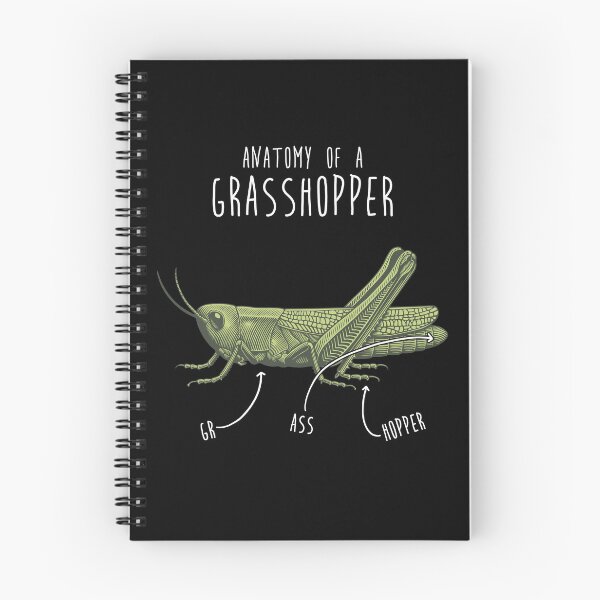 Item preview, Grasshopper Anatomy designed and sold by Clara Hollins.