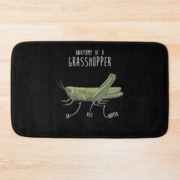 Item preview, Grasshopper Anatomy designed and sold by Clara Hollins.