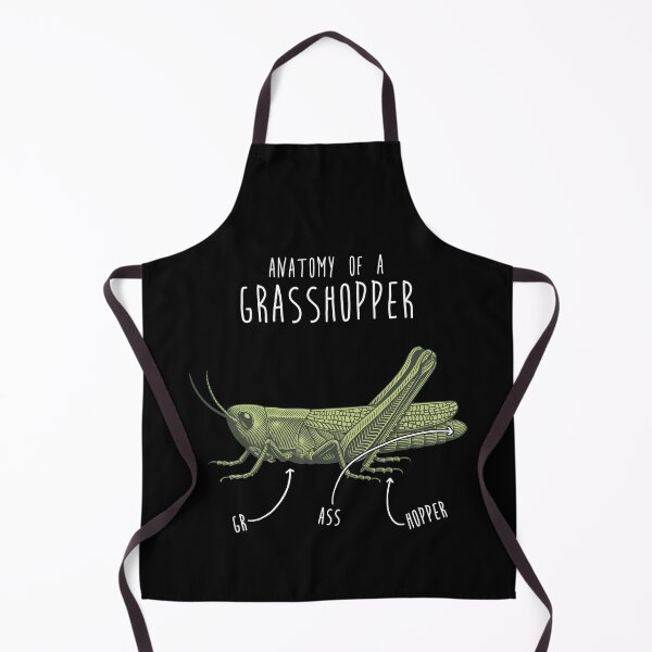 Item preview, Grasshopper Anatomy designed and sold by Clara Hollins.