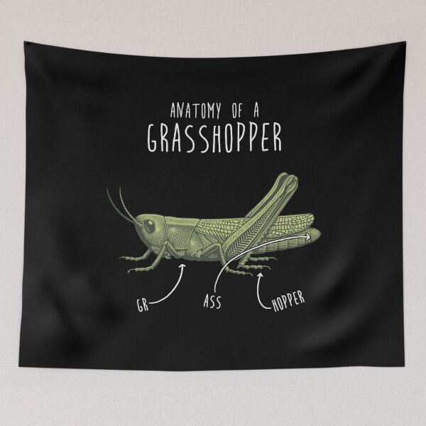 Item preview, Grasshopper Anatomy designed and sold by Clara Hollins.