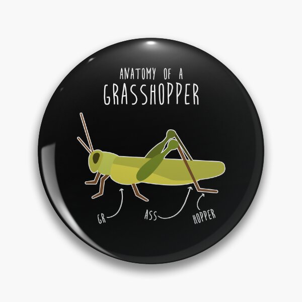 Item preview, Grasshopper Anatomy designed and sold by Clara Hollins.