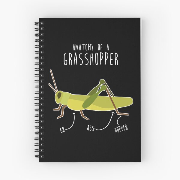 Item preview, Grasshopper Anatomy designed and sold by Clara Hollins.
