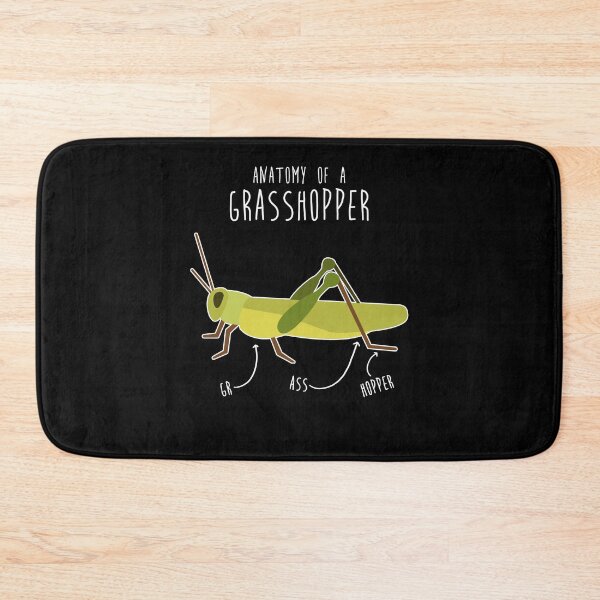 Item preview, Grasshopper Anatomy designed and sold by Clara Hollins.