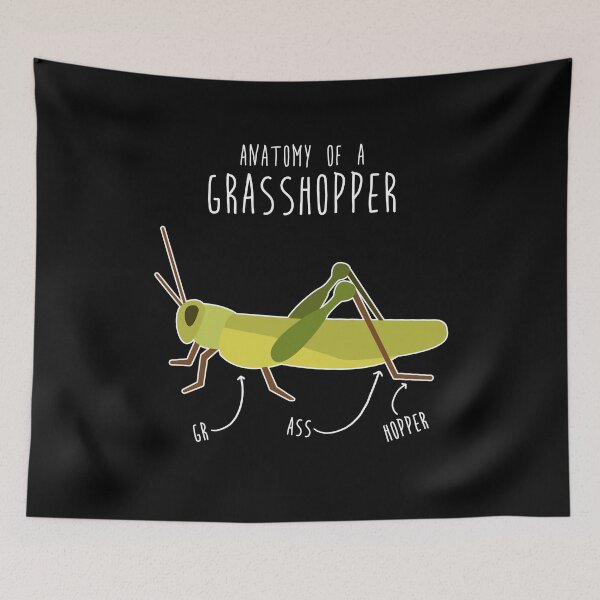 Item preview, Grasshopper Anatomy designed and sold by Clara Hollins.