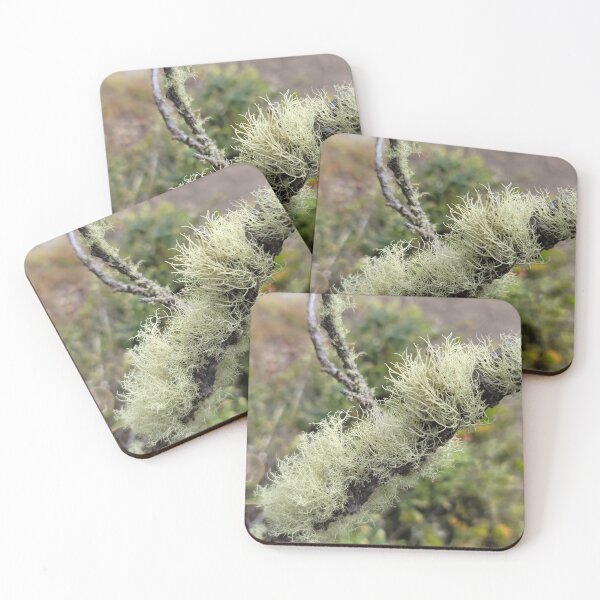 Item preview, Branch Warmer designed and sold by LifeExpressions.