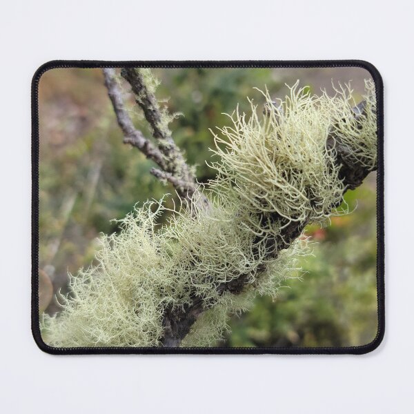 Item preview, Branch Warmer designed and sold by LifeExpressions.