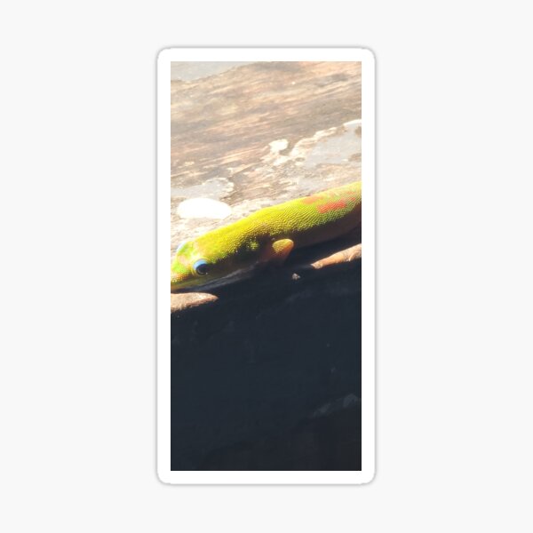 Item preview, Gecko-ing Around  designed and sold by LifeExpressions.
