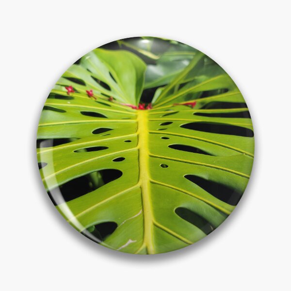 Item preview, Hilo Monstera designed and sold by LifeExpressions.