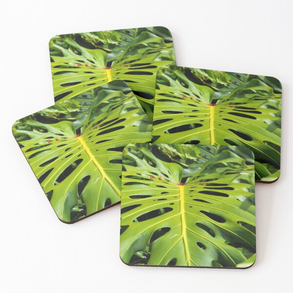 Item preview, Hilo Monstera designed and sold by LifeExpressions.