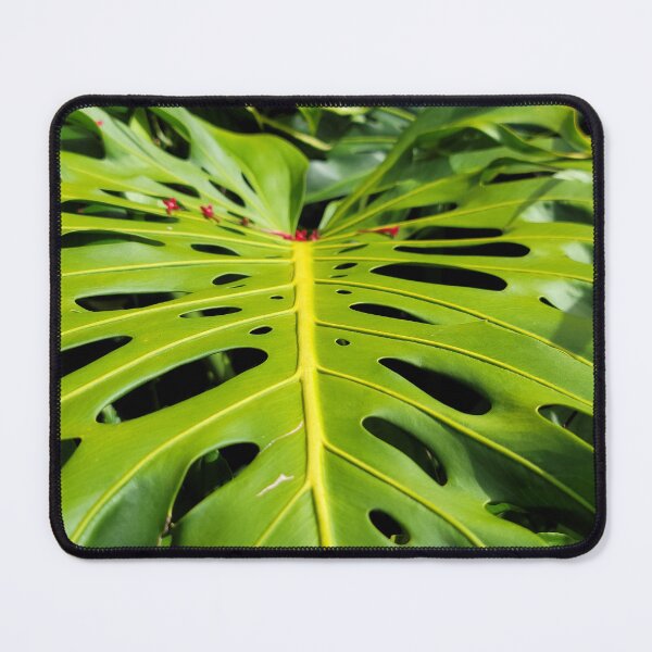 Item preview, Hilo Monstera designed and sold by LifeExpressions.