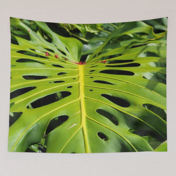 Item preview, Hilo Monstera designed and sold by LifeExpressions.