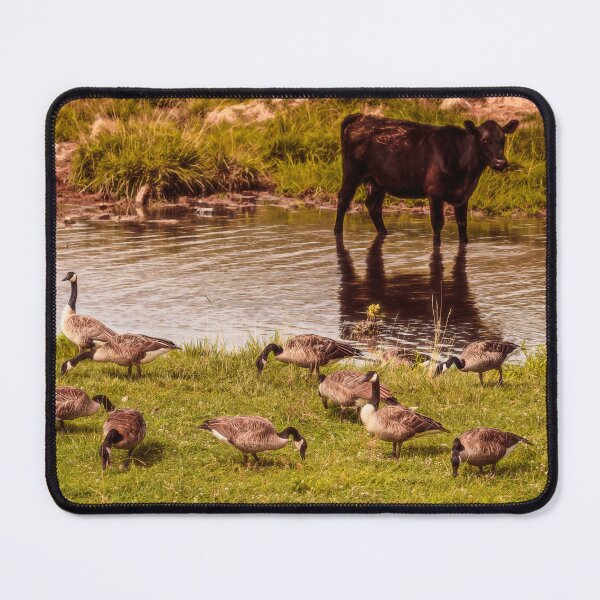 Item preview, Hunting Pecking And Wading designed and sold by Jim Love.