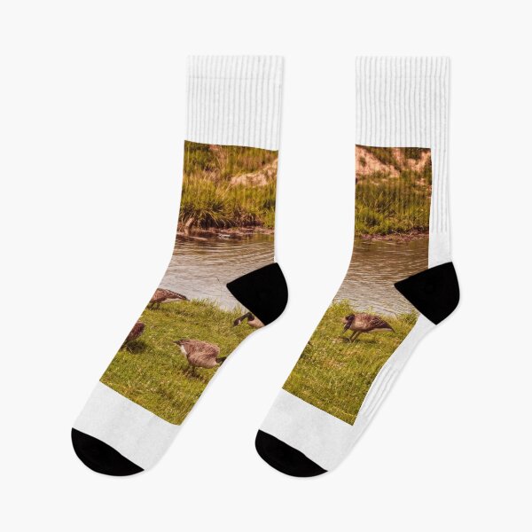 Item preview, Hunting Pecking And Wading designed and sold by Jim Love.