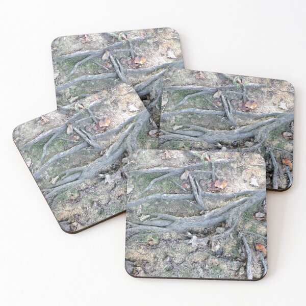 Item preview, Tenacious Roots on a Footpath designed and sold by gistinker.