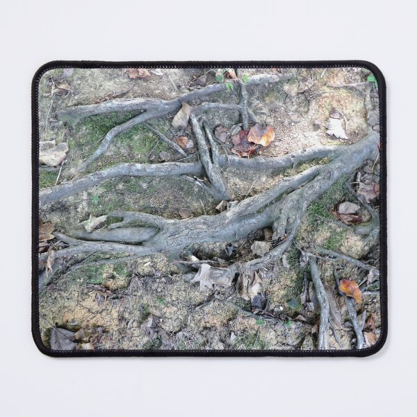 Item preview, Tenacious Roots on a Footpath designed and sold by gistinker.