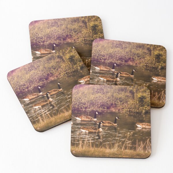 Item preview, Meet The 5 Honkers designed and sold by Jim Love.