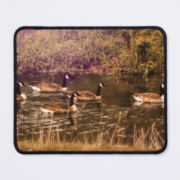 Item preview, Meet The 5 Honkers designed and sold by Jim Love.