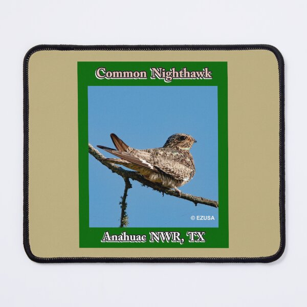 Item preview, Give Someone You Love The Bird: Common Nighthawk, Anahuac NWR, Texas designed and sold by MoreEZUSA-Here.