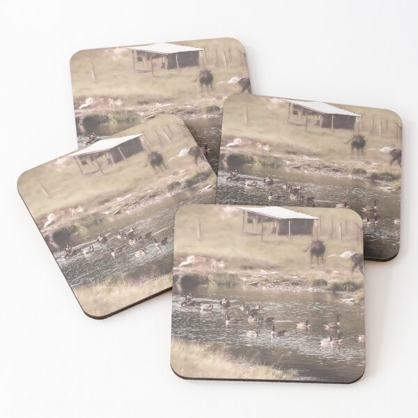 Item preview, Bovines And Avians Unite designed and sold by Jim Love.