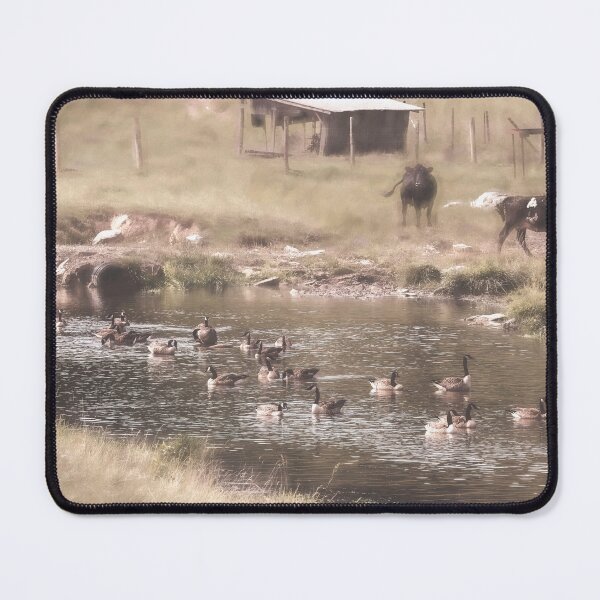 Item preview, Bovines And Avians Unite designed and sold by Jim Love.
