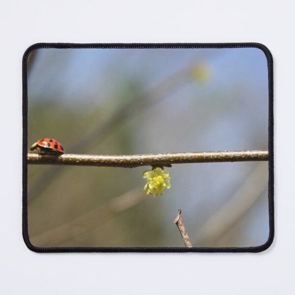Item preview, Lady Bug designed and sold by stoverscribbles.