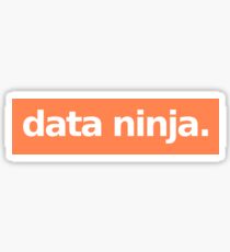 Data Ninja - Orange Sticker