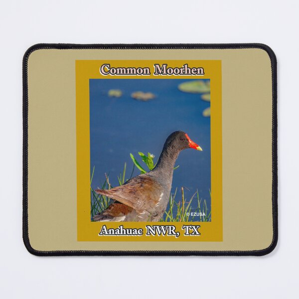 Item preview, The Perfect Gift For A Bird Lover: Common Moorhen, Anahuac NWR, Texas designed and sold by MoreEZUSA-Here.