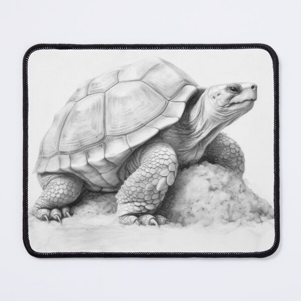 Item preview, Turtle sketch designed and sold by magicartjourney.