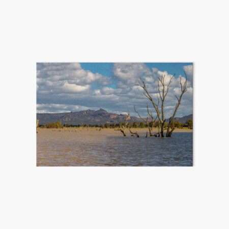 Item preview, Panorama from Taylors Lake - Wimmera designed and sold by Lynton Brown.