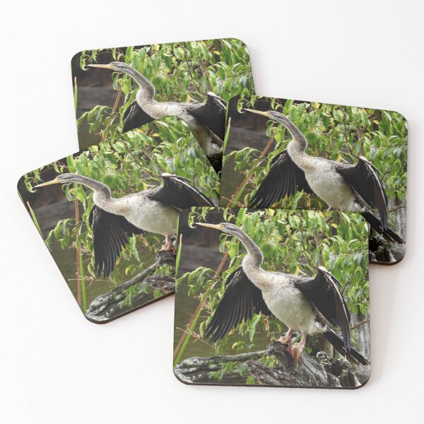 Item preview, Australasian darter in the rain  designed and sold by Mark Grimsley.