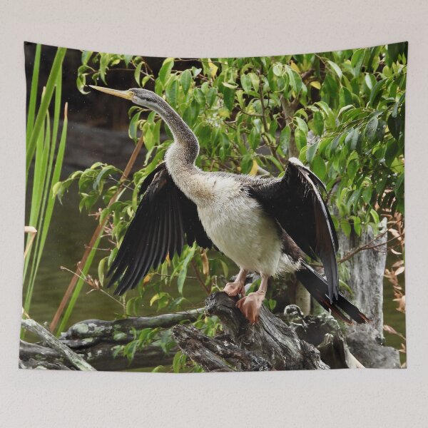 Item preview, Australasian darter in the rain  designed and sold by Mark Grimsley.