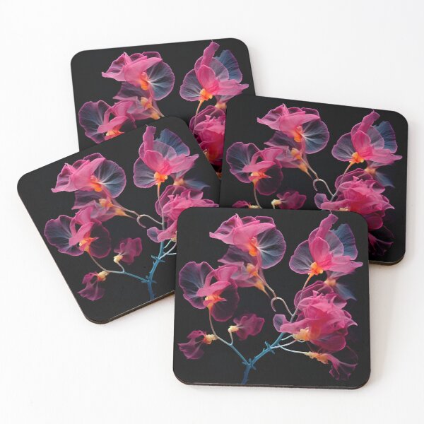 Item preview, bougainvillea with a transparent xray effect designed and sold by dcrc.