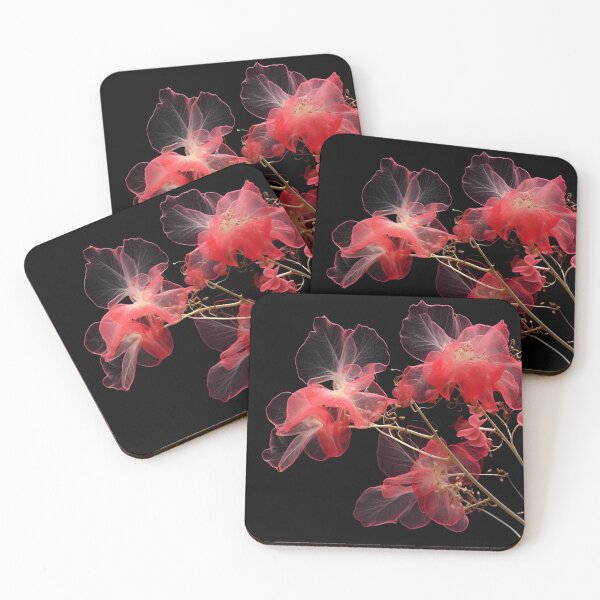 Item preview, bougainvillea with a transparent xray effect designed and sold by dcrc.