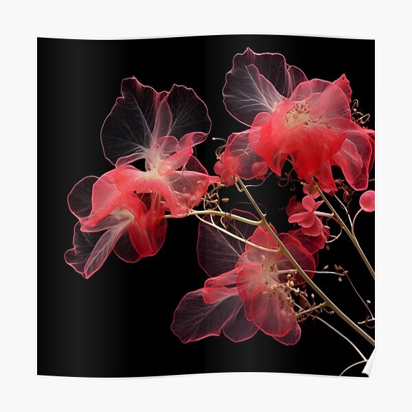 Rich Floral Tapestry Print on Black, Red Yellow Botanical Art, Scanned  Flower Art