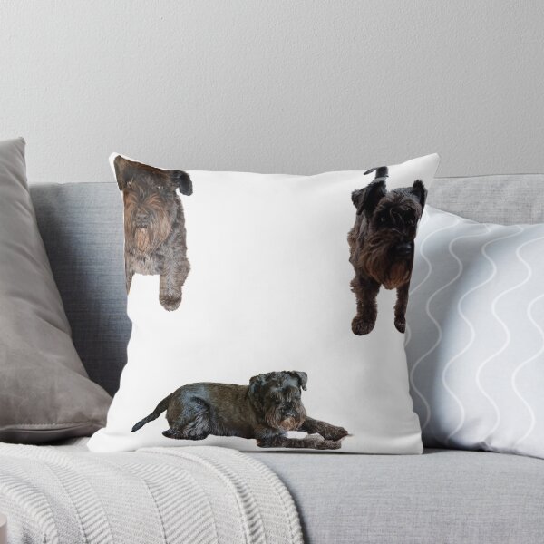 Item preview,  Collection of mini Schnauzer number 5 lifelike dog designed and sold by Debsgiftware Ward.