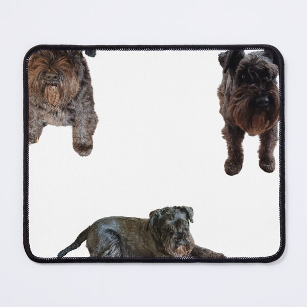 Item preview,  Collection of mini Schnauzer number 5 lifelike dog designed and sold by Debsgiftware .