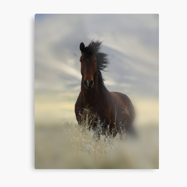 Iconic Metal Print