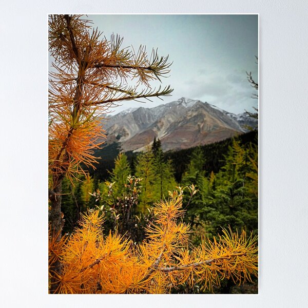 Item preview, Mountain framed in a larch branch designed and sold by InkinZ.