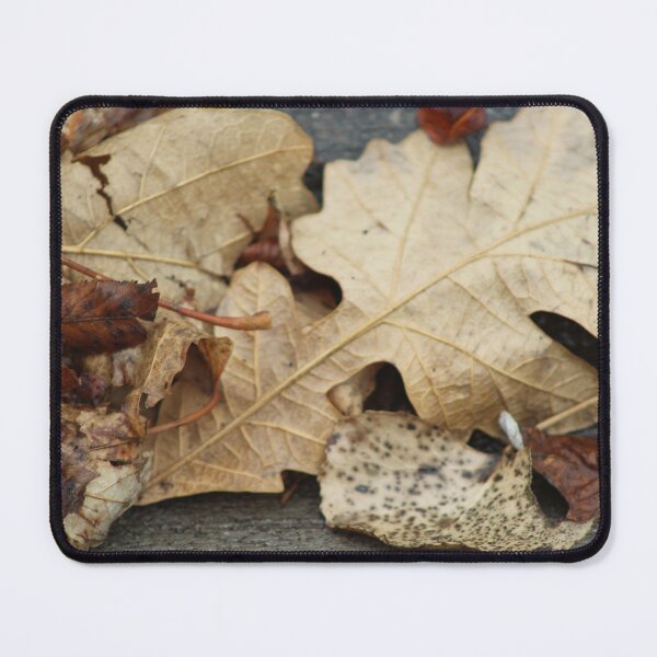 Item preview, Crunchy Brown Leaf Display designed and sold by ArbitraryGinger.