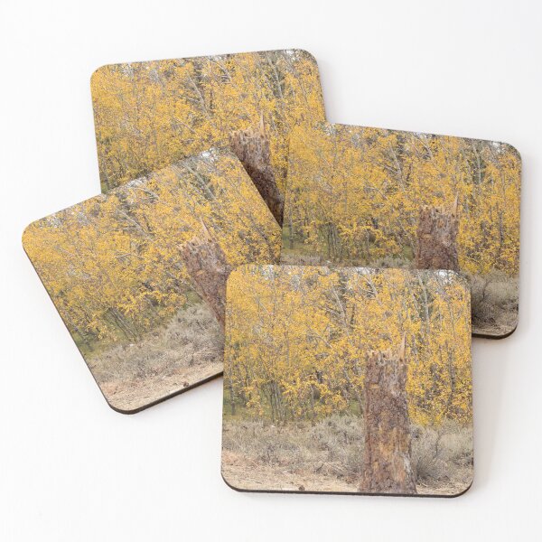 Item preview, Fall Aspen Grove Stump designed and sold by ArbitraryGinger.