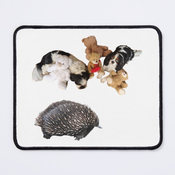 Item preview, Echidna and teddy bears designed and sold by Debsgiftware Ward.