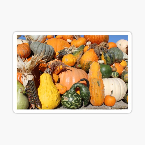 Item preview, Gourds, Gourds, Gourds! designed and sold by ArbitraryGinger.