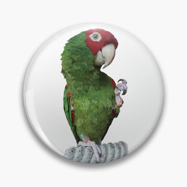 Item preview, The red headed parrot designed and sold by obscurite.
