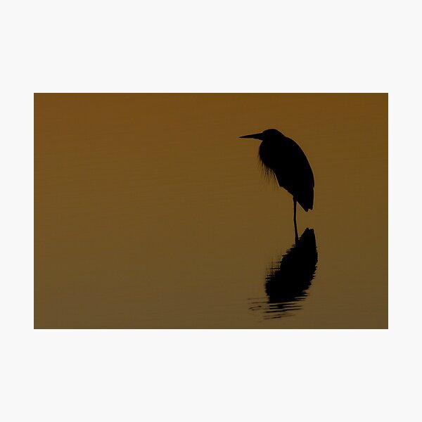 Item preview, The Still Silhouette designed and sold by Phillip  Simmons.