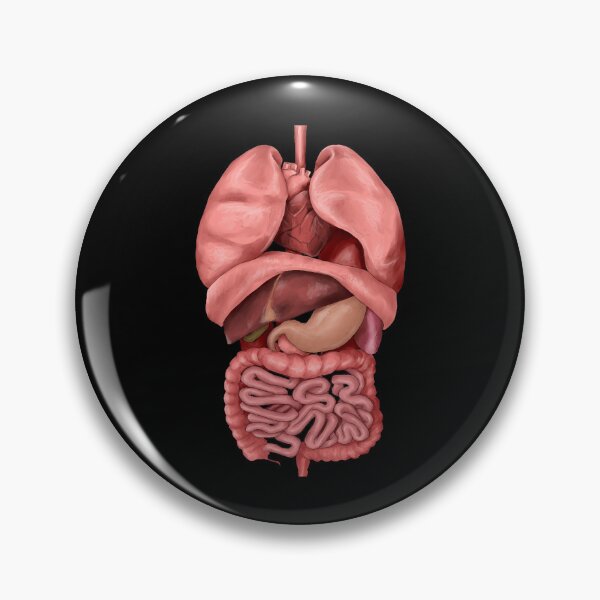Item preview, Internal Organspng designed and sold by AliceDaigle.